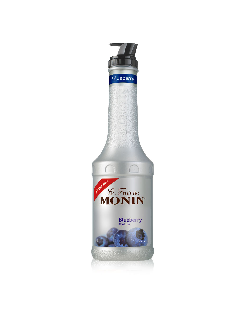 LE FRUIT DE MONIN BLUEBERRY